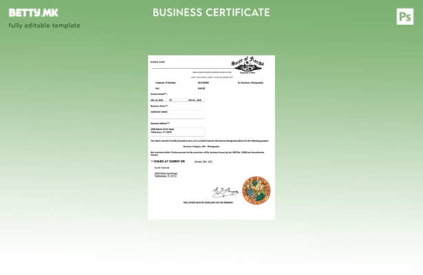 модерен стил САД Флорида деловна лиценца Шаблон за Word и PDF шаблон